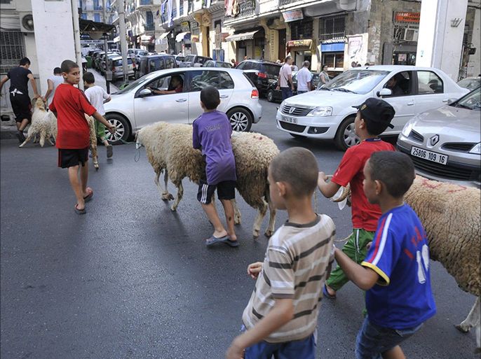 من مظاهر عيد الاضحى في الجزائر