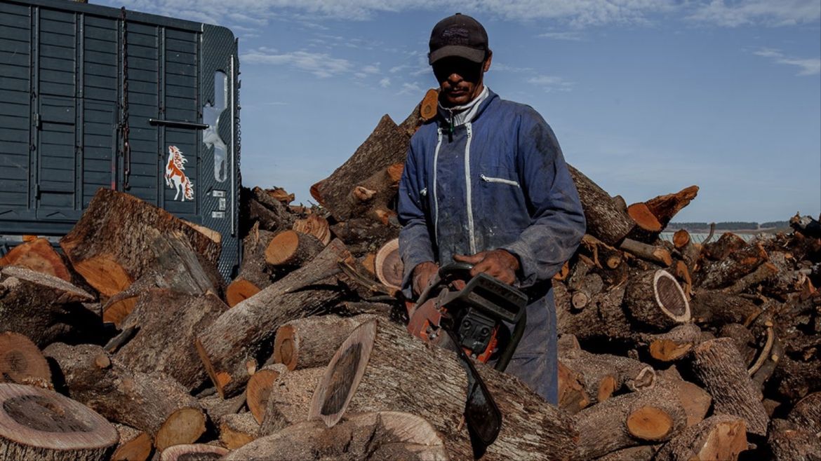 عامل يقطع جذوع أشجار البلوط داخل مصنع بمدينة أزرو وسط المغرب