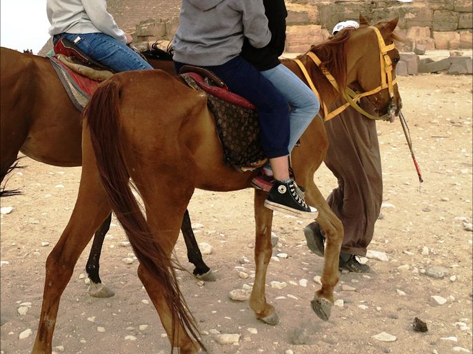 انعكس تدهور السياحة حتى على خيول الخرتية بالنحافة والهزال. (يناير 2017، صورة لخرتي يقلّ زائرين لمنطقة أهرامات الجيزة على حصانه).