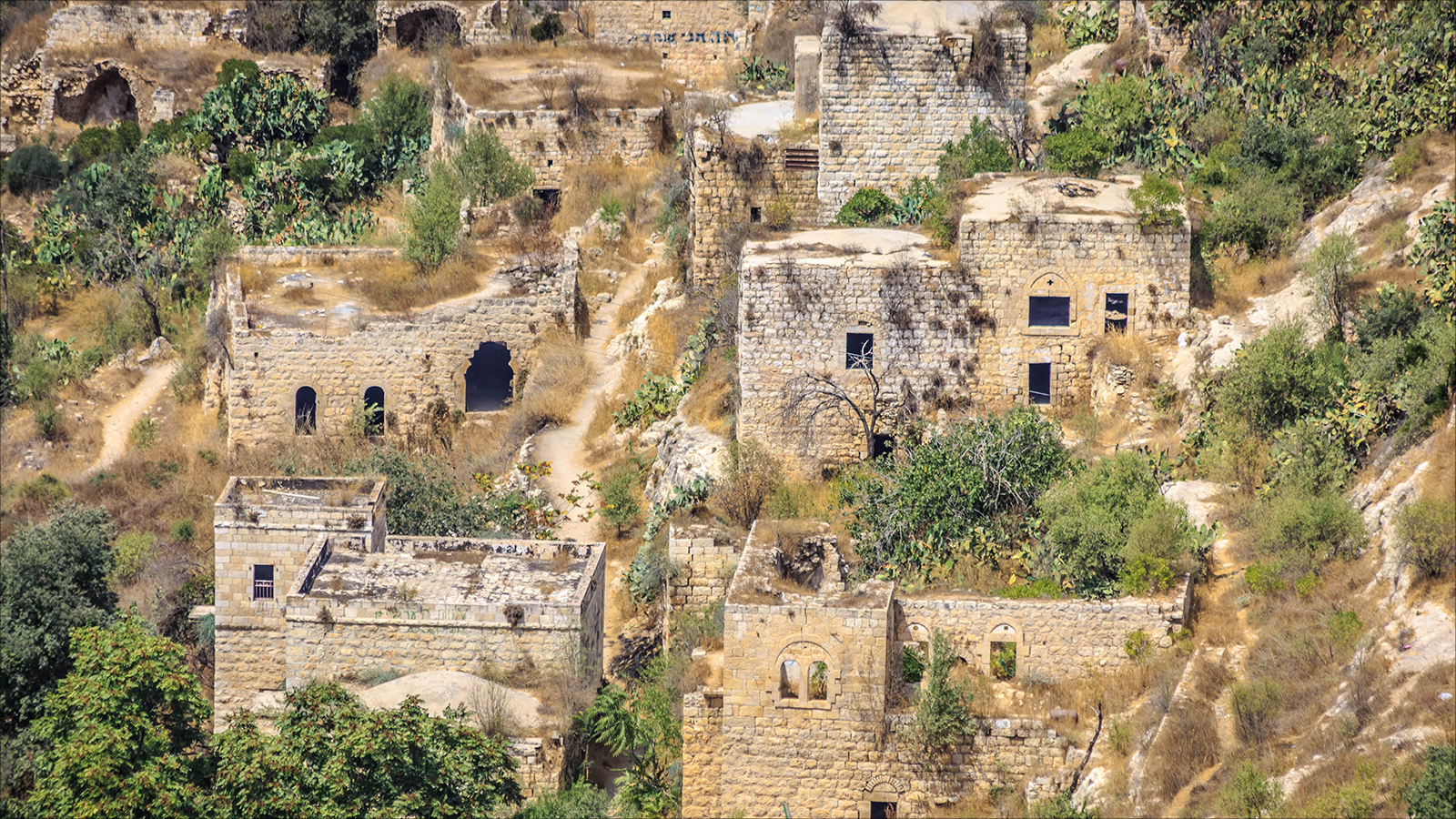 آثار البيوت الباقية من قرية لفتا (الجزيرة)
