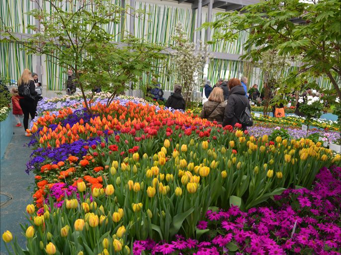 معرض برلين الدولي للحدائق يحمل عنوان بحر من الألوان ويضم 300 ألف زهرة ووردة من قارات العالم الخمسة. الجزيرة نت