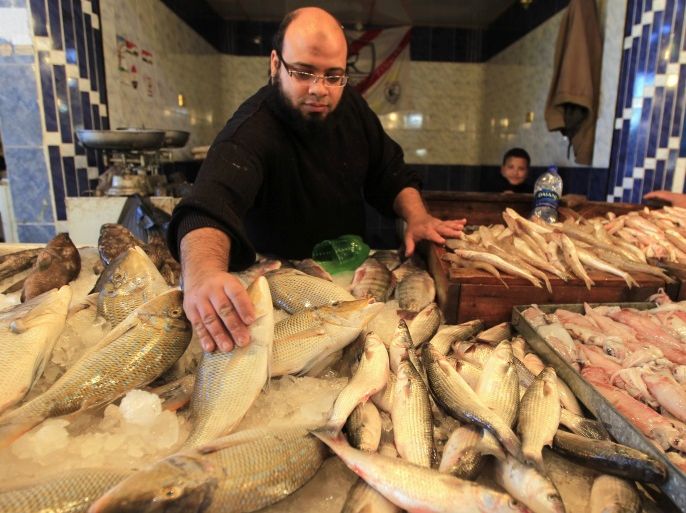 A vendor waits for customers in a fish market near Arbeen Square in the El Arbeen district of Suez, 120 km (75 miles) away from Cairo December 22, 2012. REUTERS/Mohamed Abd El Ghany (EGYPT - Tags: SOCIETY)