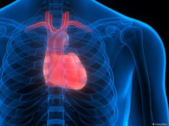 باحثون ينجحون في ترقيع أنسجة القلب من دون جراحة
