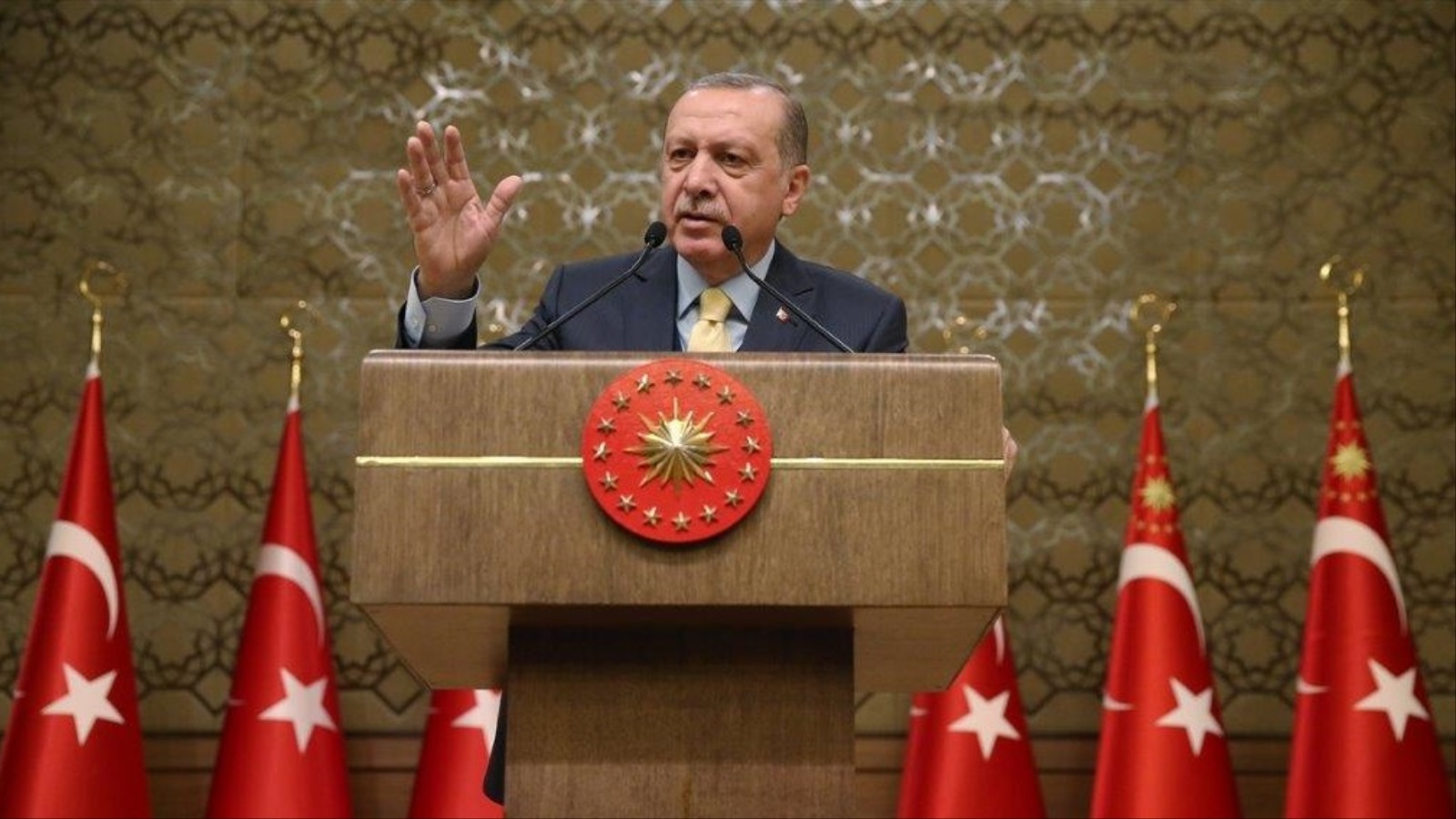 أردوغان أكد أن عملية عفرين ستتواصل حتى طرد آخر عنصر من الوحدات الكردية (الأناضول)