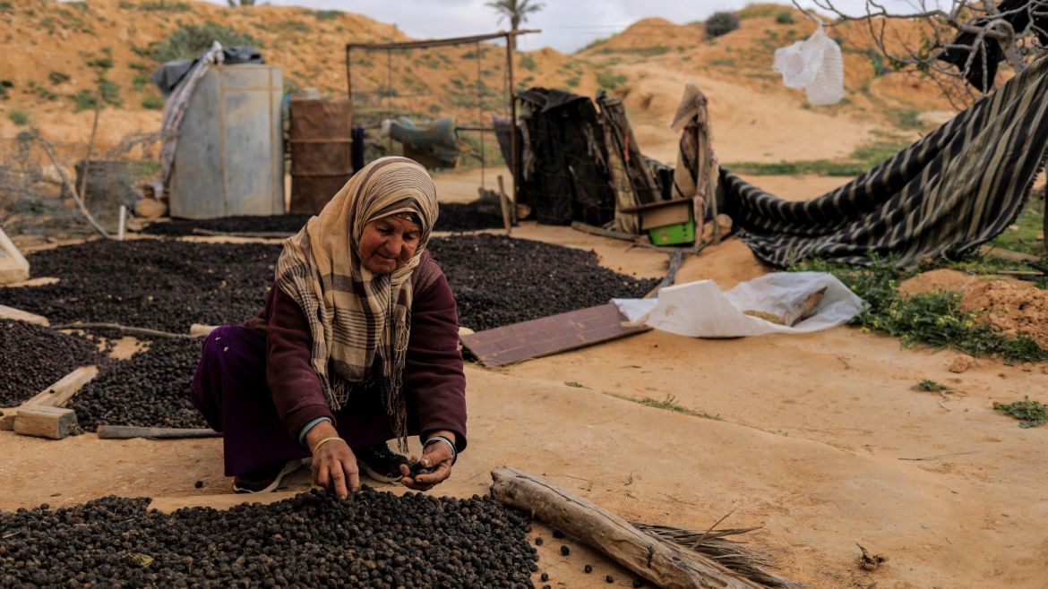 Aicha, 64, lays olives out to dry on the outskirts of Matmata, Tunisia, February 4, 2018. REUTERS/Zohra Bensemra  SEARCH