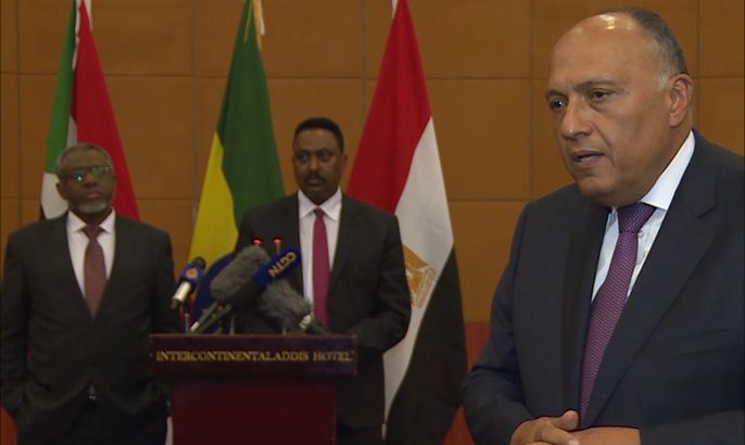 وزير الخارجية المصري يتحاشى الوقوف خلف ميكروفون الجزيرة