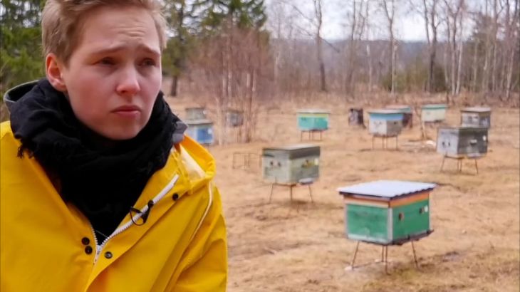 هذا الصباح- العسل المخفوق يعيد الحياة لقرية روسية