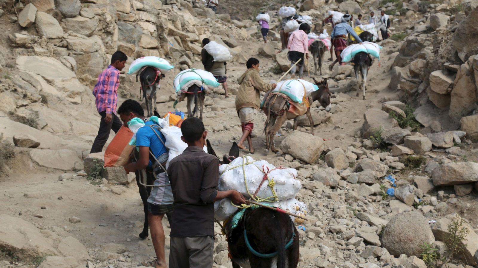 ‪في الطريق الجبلية اليمنية تعجز السيارات عن السير وتفوقها الحمير نفعا وأهمية‬   في الطريق الجبلية اليمنية تعجز السيارات عن السير وتفوقها الحمير نفعا وأهمية (رويترز)