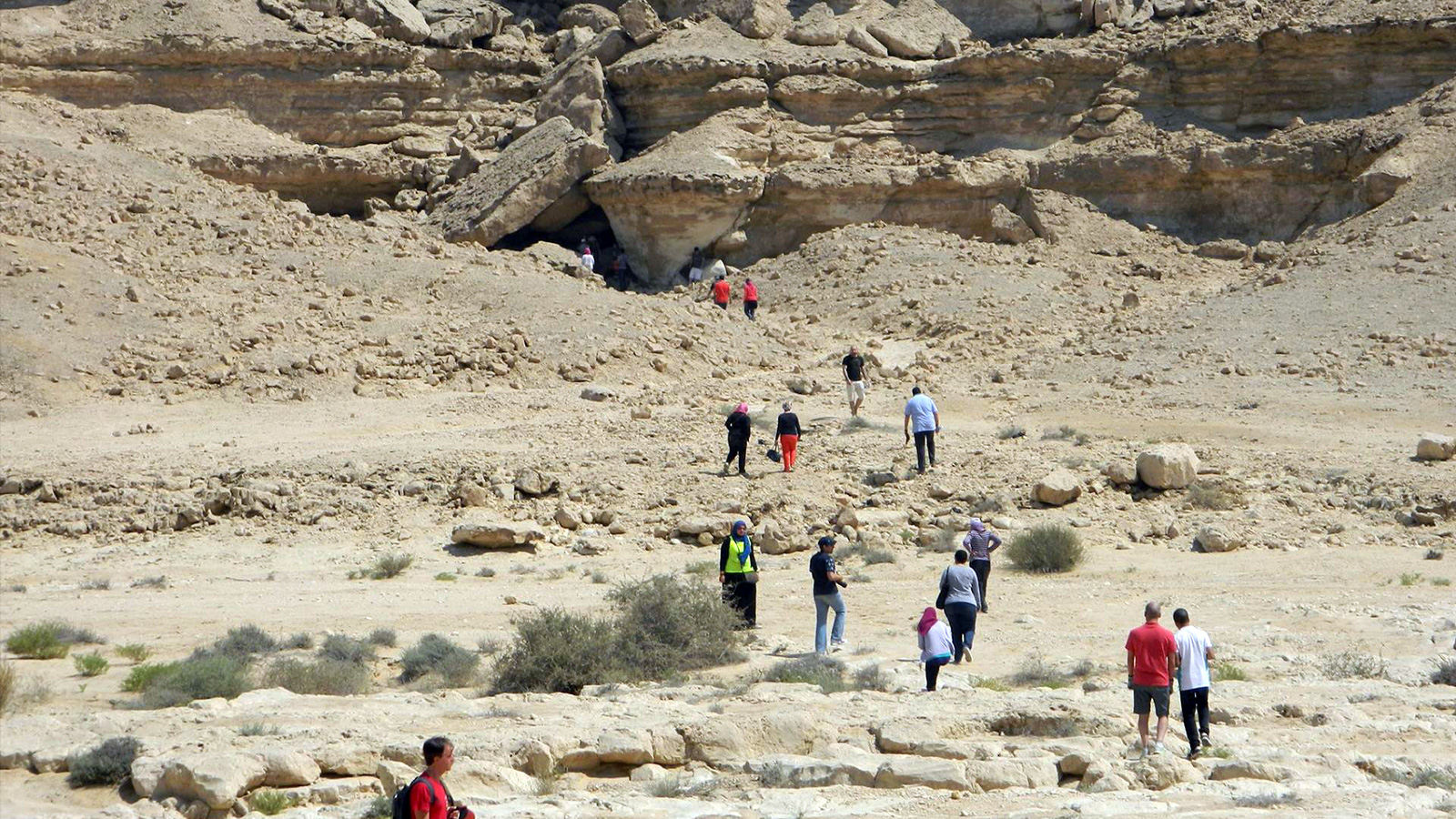 ‪زيارة لمنطقة محمية وادي دجلة للتعرف الحياة البرية فيها بالمعادي في القاهرة‬ (الجزيرة)