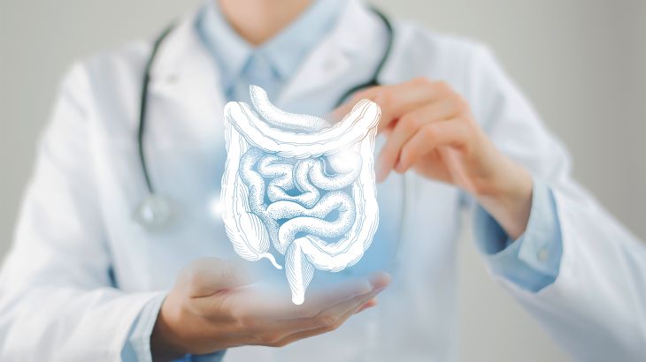 Female doctor holding virtual Intestine in hand. Handrawn human organ, blurred photo, raw photo colors. Healthcare hospital service concept stock photo shutterstock_2087384458