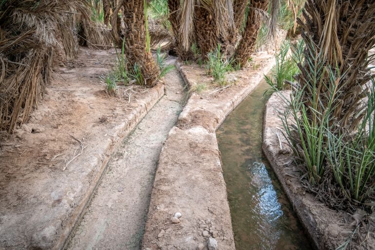 Irrigation system of oasis at Foum Zguid, Morocco