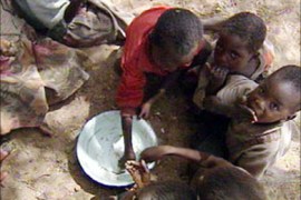 المجاعة في السودان - عدد من الأطفال الجوعى حول صحن من الرز