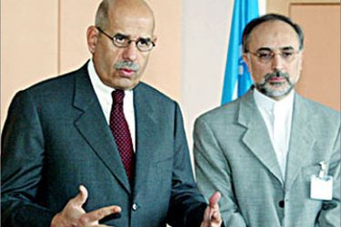 International Atomic Energy Agency (IAEA) chief Mohamed ElBaradei (L) talks to