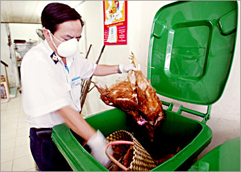Nguyen Thanh Long, an animal quarantine officer, drops infected dead chicken into a trash box in Ho Chi Minh City, 09 January 2004. As many as hundred of thounsands of chickens in Southern Vietnam have been killed by a mystery virus. The disease, which first emerged last week in the southern provinces of Tien Giang and Long An, keeps spreading to others provinces. AFP PHOTO