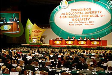 F/Delegates attend the opening ceremony of the Conference of the Parties to the Convention on Biological Diversity in Kuala Lumpur, 09 Febraury 2004