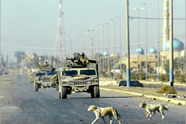AFP - Stray dogs run past a convoy of US Marine Humvees in Fallujah, 50 kms west of Baghdad, 19 November 2004.