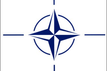الناتو حزب ما هو