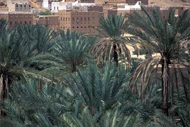 المناطق السياحية في اليمن (حضرموت)