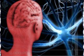 حوالي مليوني خلية عصبية تموت كل دقيقة بمخ الإنسان أثناء السكتة الدماغية