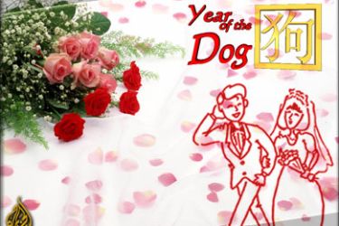 year of the dog عام الكلب في الصين و الزواج