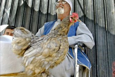 An Iraqi street vendor displays a chicken in central Baghdad, 29 March 2006. Birds in one Baghdad district have tested positive for the deadly H5N1 strain of bird flu, while a man in another part of the capital has been hospitalised with symptoms, an official said today. Samples taken from birds in the Kamamaliya district tested positive for H5N1, Ibtisam Aziz