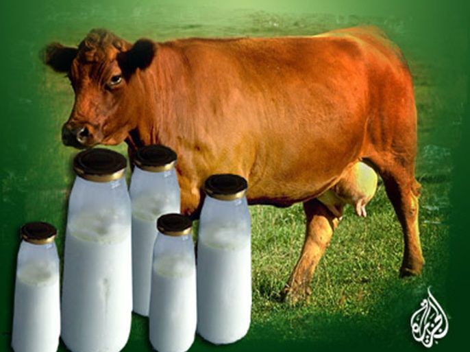 لحوم وألبان أبقار مراعي العشب أكثر احتواء على الدهون المفيدة