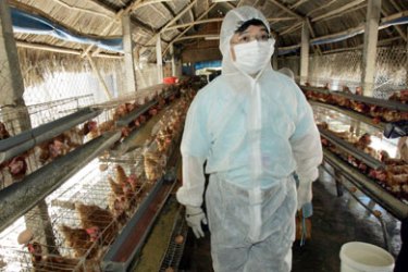 UN Food and Agriculture (FAO)'s regional director for Asia-Pacific Chengchui Hen visits a private chicken farm along with delegates to an APEC (Asia-Pacific Economic Cooperation)