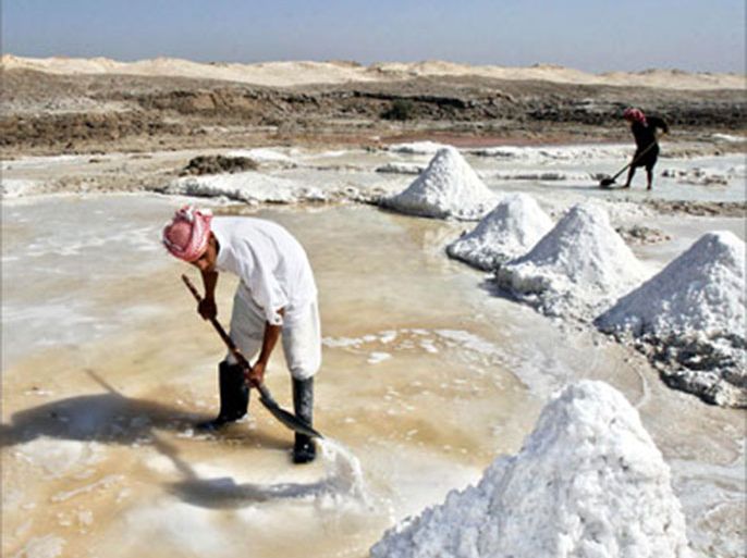 Iraqis work in salt ponds near Samawa, 270 km (160 miles) south of Baghdad August 9, 2006.