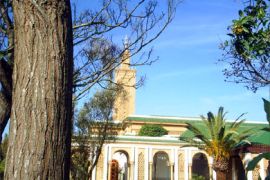 مساجد المغرب تنخرط في حملة ضد الأمراض الجنسية والأيدز