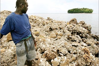 AFP / Hendrik Kegala looks out over a coral reef 07 April 2007, which was exposed by the force of the 8.0 magnitude earthquake which lifted the Solomons' island of Ranongga three metres (10 foot). The 02 April 2007 quake triggered a tsunami that killed at least 34 people and 5500 homeless in