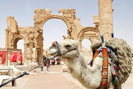AFP / A picture shows a camel in the historic town of Palmyra during the al-Badia festival, northeastern Damascus, 05 May 2007. The festival activities, held by the Ministry of Tourism,