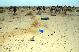 تأخر الأمطار ينذر بظروف معيشية صعبة في موريتانيا