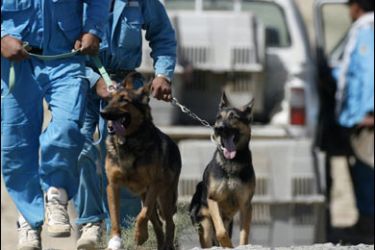 r/A team of deminers walk with their dogs after searching for unexploded ordnance in Barik Aab, near the Bagram airbase, a major hub of U.S.-led operations in Afghanistan in this September 10, 2007