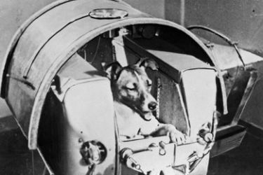 (FILES) A handout picture released 13 November 1957 by the TASS agency shows the dog Laika, the first living creature ever sent in space, onboard Sputnik II. Fifty years