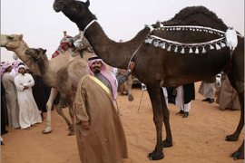 REUTERS/Saudi Hassan Dosary poses with his black camel "Migahim" during the Mazayen al-Ibl competition, to find the "most beautiful camels", in the