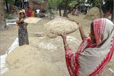 REUTERS/Women sift harvested rice crop at Zalkuri, 15km (9 miles) of Dhaka April 27, 2008. Bangladesh may be harvesting a bumper rice crop,