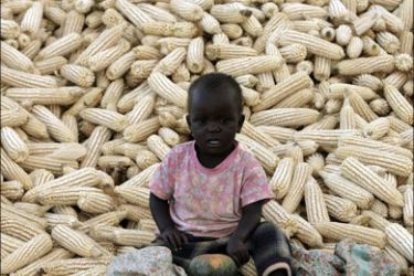 r : A child sits on top of maize harvested in Lilongwe rural April 22, 2008. REUTERS/Siphiwe Sibeko (MALAWI)