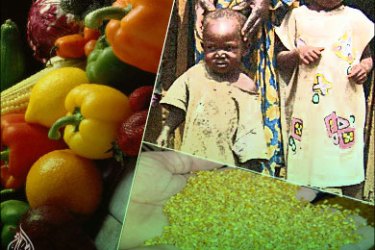 نكبة أمن الغذاء العالمي في زمن العولمة