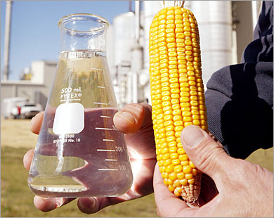 
إنتاج الوقود الحيوي يساعد في ارتفاع سعر الذرة (الفرنسية)
