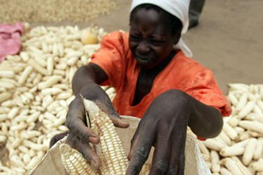 AFP/ (FIles) This file picture taken on April 23, 2008 in Domboshawa shows a Zimbabwean woman putting maize into a bag. She managed to get three bags from this year's harvest that has to feed a family of 10. An international summit on the global food price crisis opened in Rome on June 3, 2008