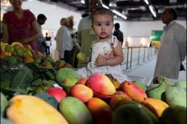 AFP PHOTO/ An Indian child sits amidst mangoes on display as passers-by look on during the opening day of the 20th annual mango festival in New Delhi on July 4, 2008.