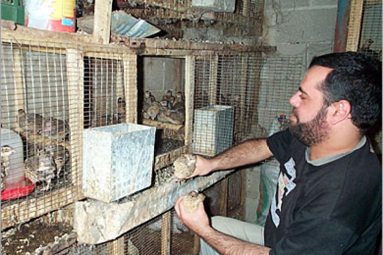 - عثمان عبد المحسن يتابع عمله - فلسطيني يتغلب على إعاقته ويحقق إنجازات في تجارة الطيور - الجزيرة نت