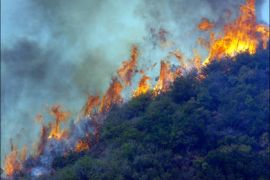 afp : Flames advance at the Gap fire as more than 1,000 wildfires continue burning across about 680 square miles of central and northern California, on July 4, 2008 near Goleta,
