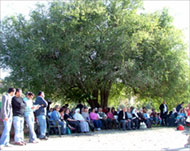 لقاء تحت أفياء شجرة ناجي العلي (الجزيرة نت-أرشيف)