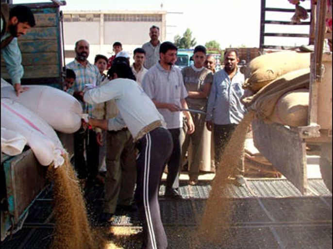 f/A recent undated picture shows Syrian farmers emptying their harvest of wheat at a depot in Daraa, 100 kms south of Damascus. Syria's worst drought in 40 years is strangling grain production, prompting authorities to seek aid from the UN's Food and Agricultural Organisation, the official SANA news agency reported on October 21, 2008.