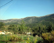 جبال تجرّدت من الأشجار شمالي لبنان