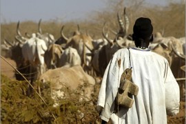 AFP - A picture released by the United Nations Mission in Sudan (UNMIS) on March 13, 2009, shows a Sudanese Dinka herder walking with cattle during an annual migration north from Warrap State to dry season pastures in the Abyei area