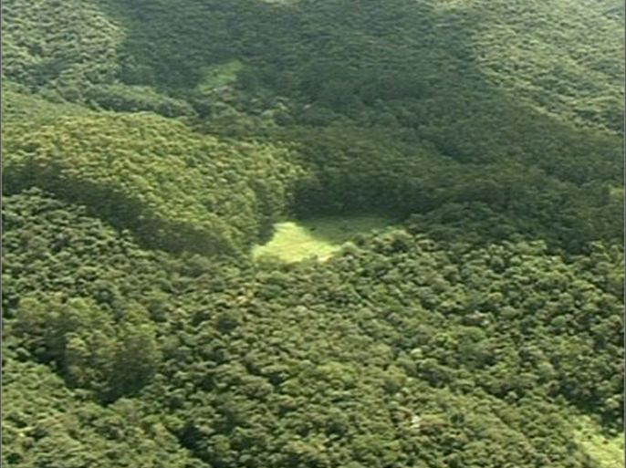 قلق منظمات وحماية البيئة عن استمرار إتلاف غابات الأمازون