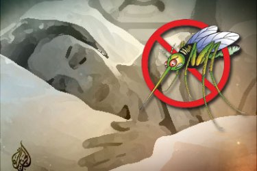 الناموسية والمحلول الطارد للحشرات يقللان الإصابة بالملاريا