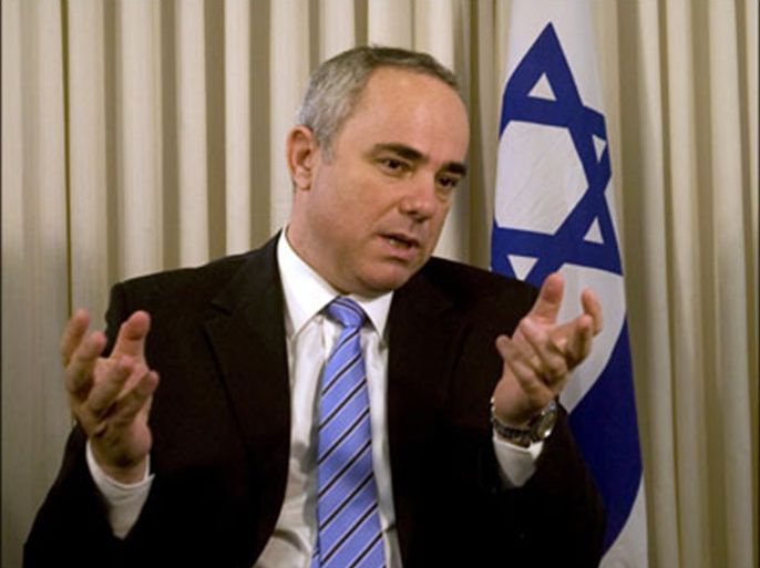 r : Israel's Finance Minister Yuval Steinitz speaks during an interview with Reuters in Jerusalem August 4, 2009.